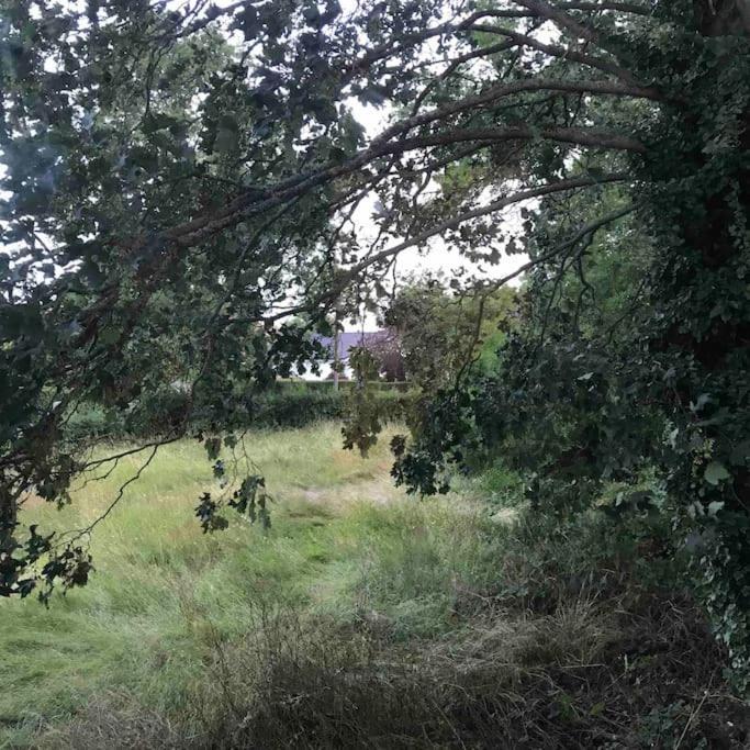 Priory Meadow Cottage Long Bennington Eksteriør bilde