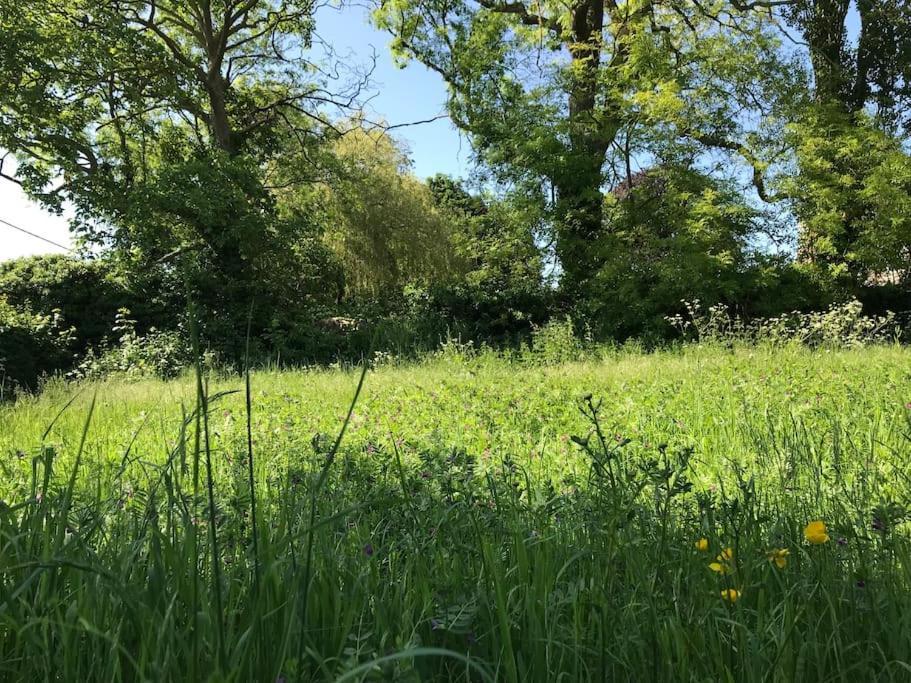 Priory Meadow Cottage Long Bennington Eksteriør bilde