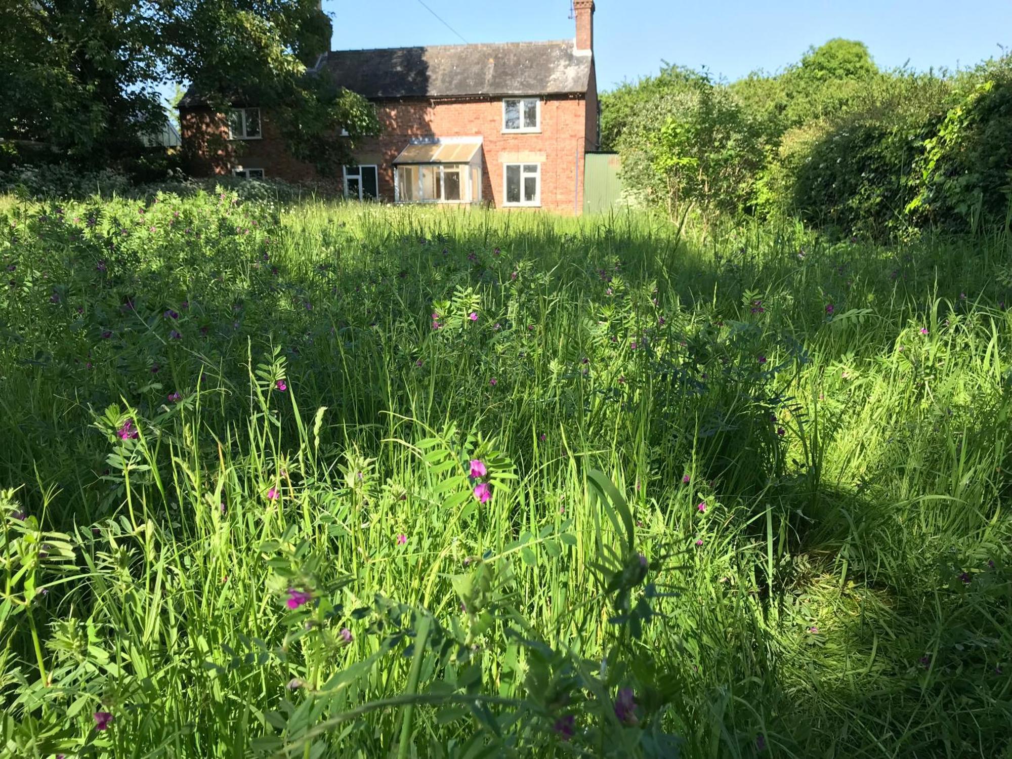 Priory Meadow Cottage Long Bennington Eksteriør bilde